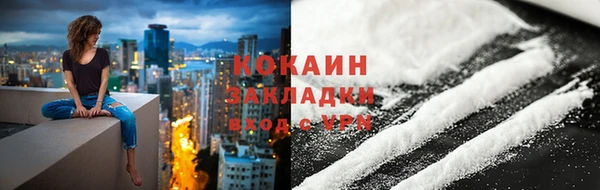 гидра Богородск