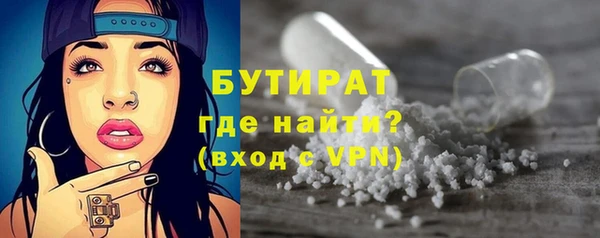 гидра Богородск