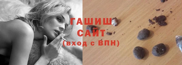гидра Богородск