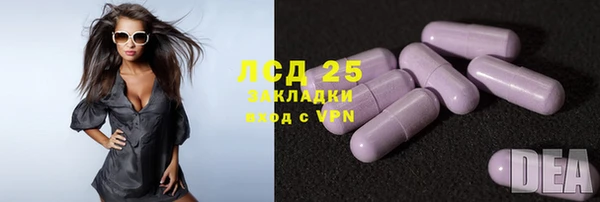 гидра Богородск