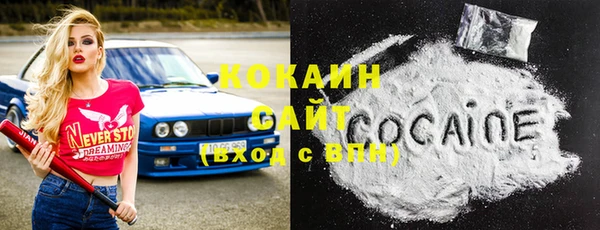 гидра Богородск