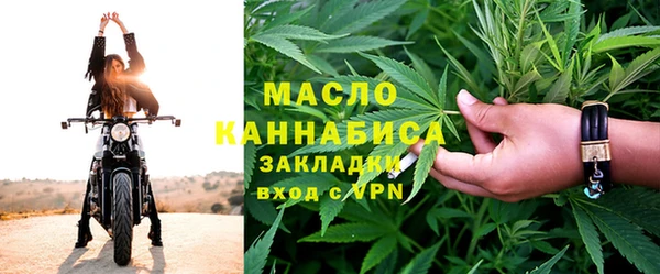 гидра Богородск