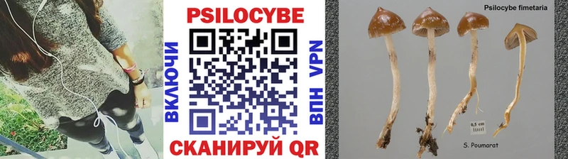 ОМГ ОМГ ССЫЛКА  Няндома  Псилоцибиновые грибы прущие грибы 